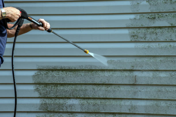 Best Residential Pressure Washing Services  in Middle River, MD